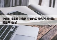 中园科技是真正做区块链的公司吗[中科科技园是干啥的]